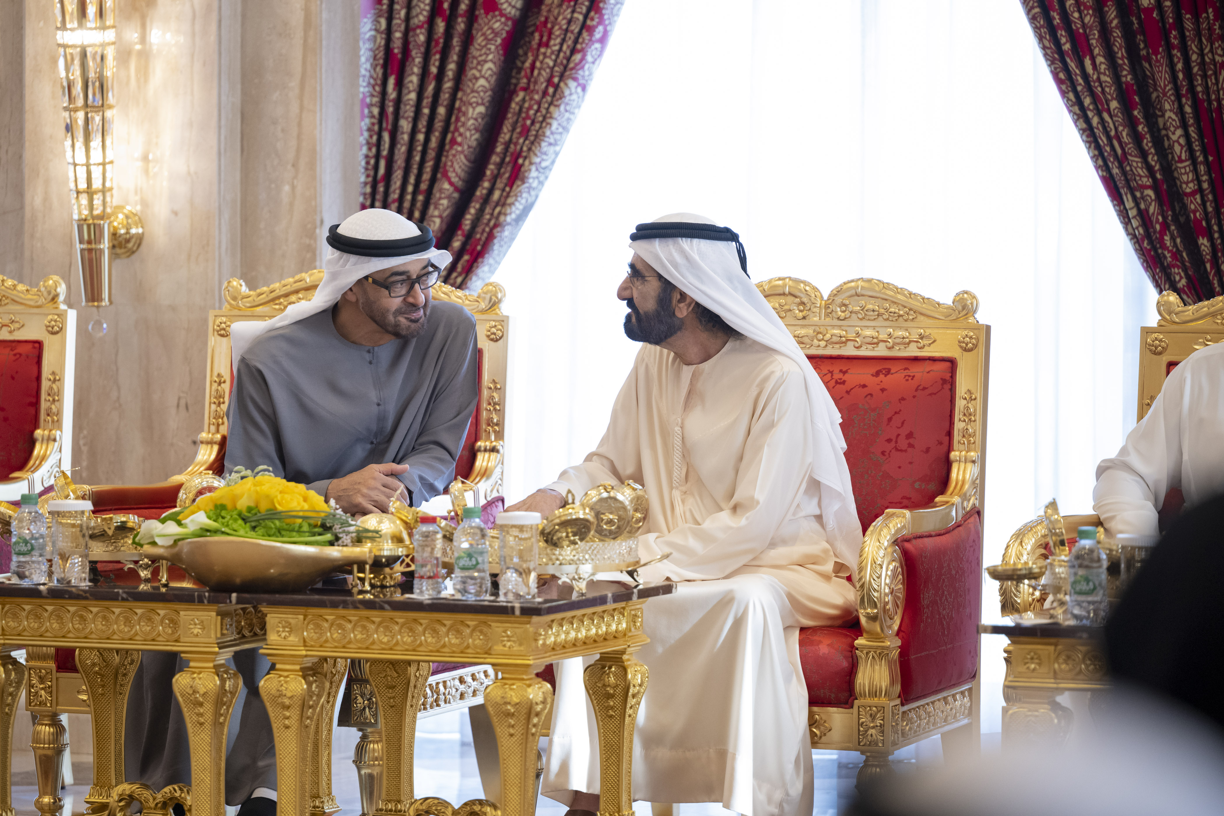 رئيس الدولة يزور حاكم دبي