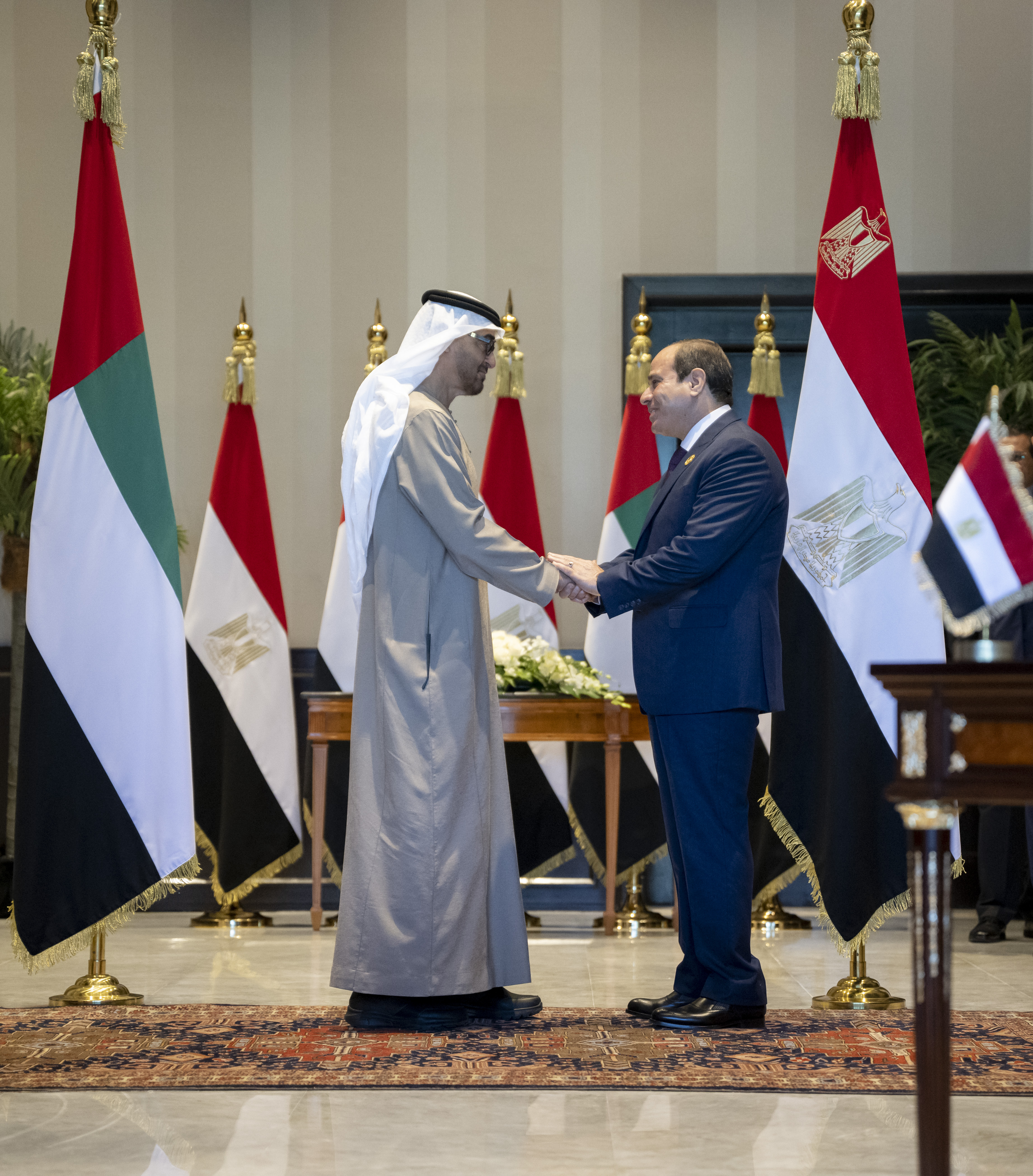 محمد بن زايد والرئيس المصري يشهدان توقيع عدد من مذكرات التفاهم بين البلدين