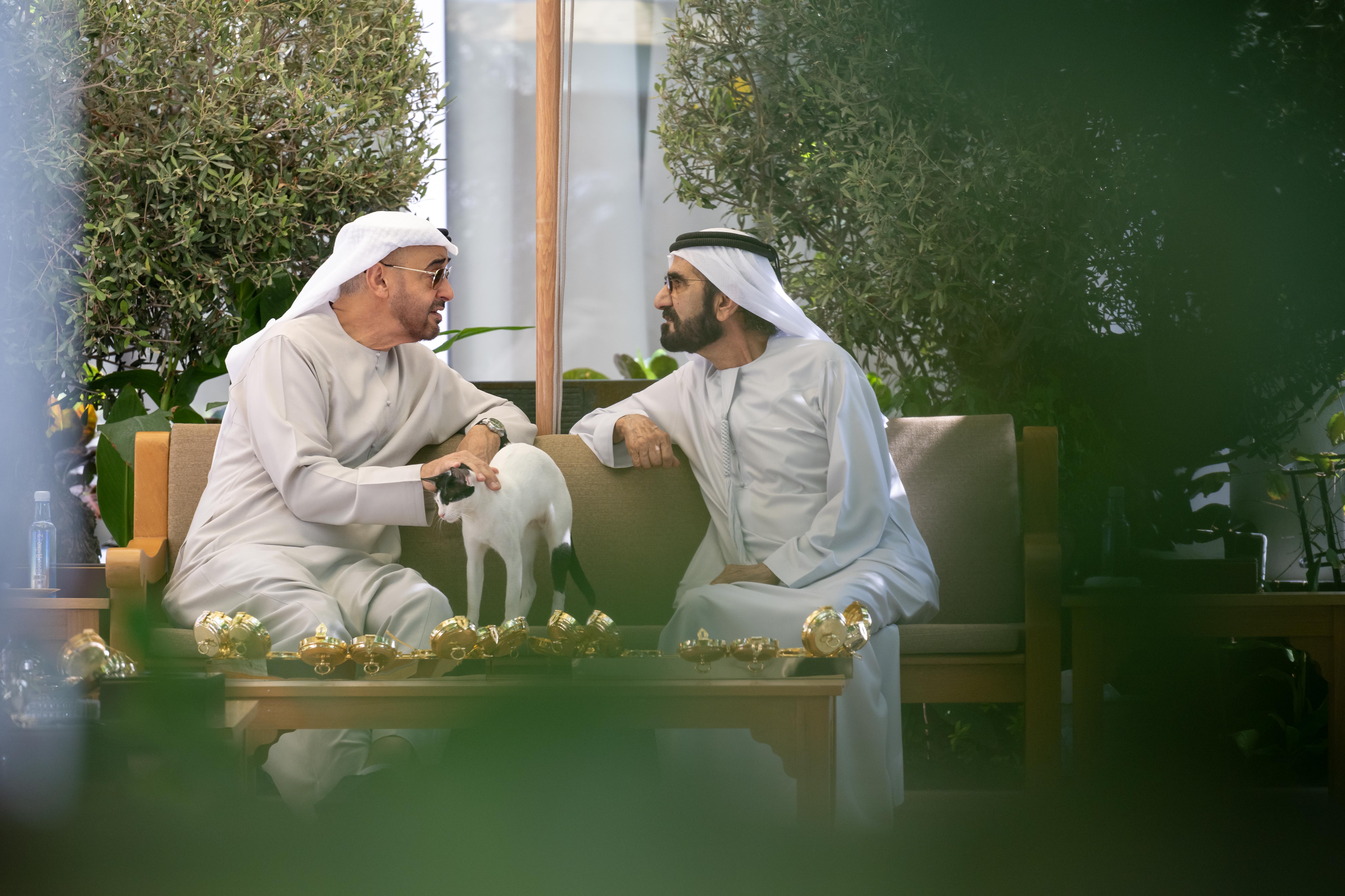 رئيس الدولة يلتقي أخاه محمد بن راشد في دبي