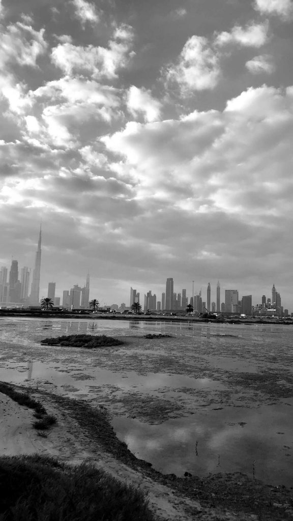 صور من دبي